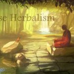 chinese herbalism in louisville