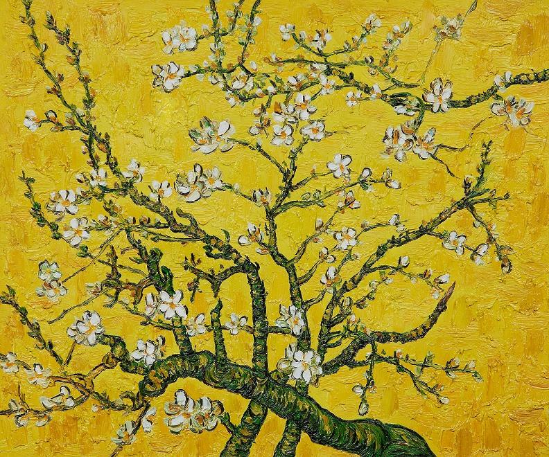 Branches of an Almond Tree in Blossom yellow