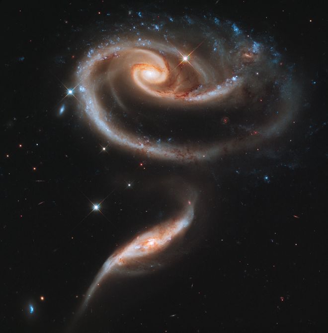 Hubble-rose-21st