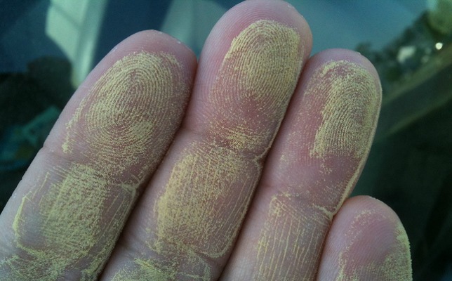 pollen-hands